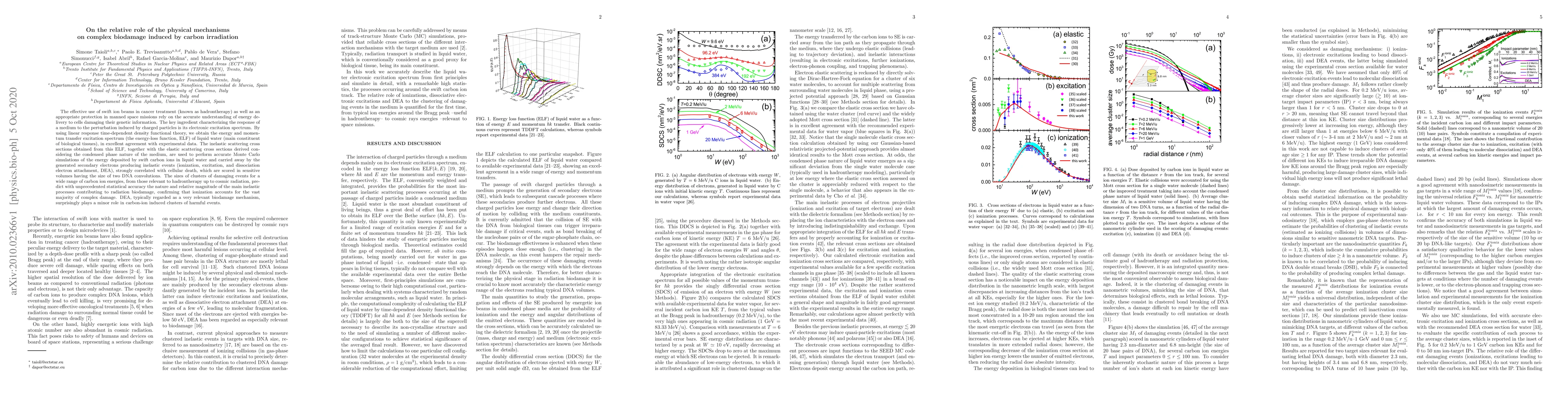 Thumbnail for On the relative role of the physical mechanisms on complex biodamage
  induced by carbon irradiation