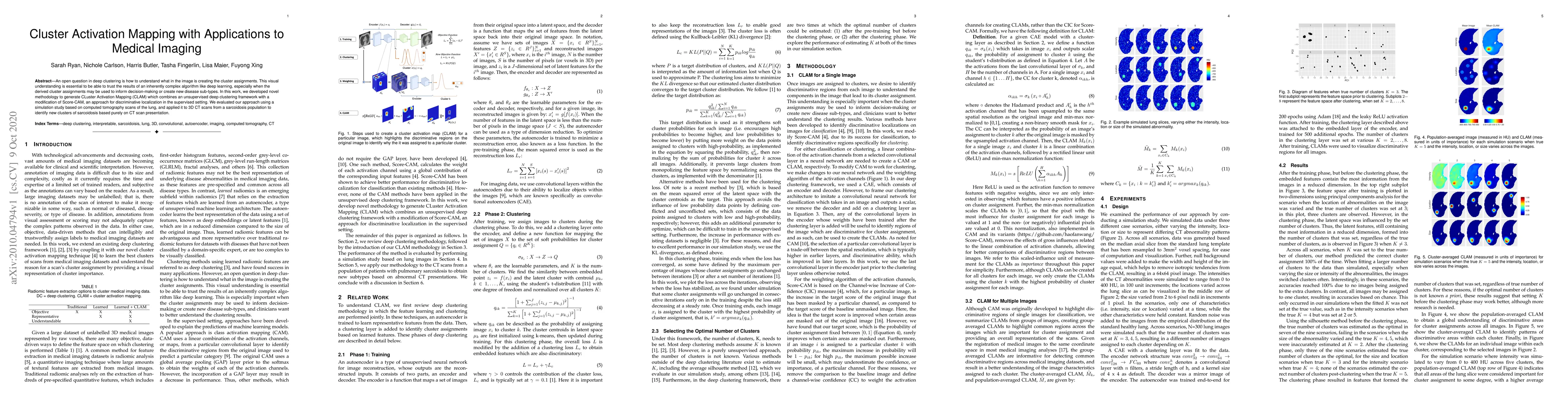 Thumbnail for Cluster Activation Mapping with Applications to Medical Imaging