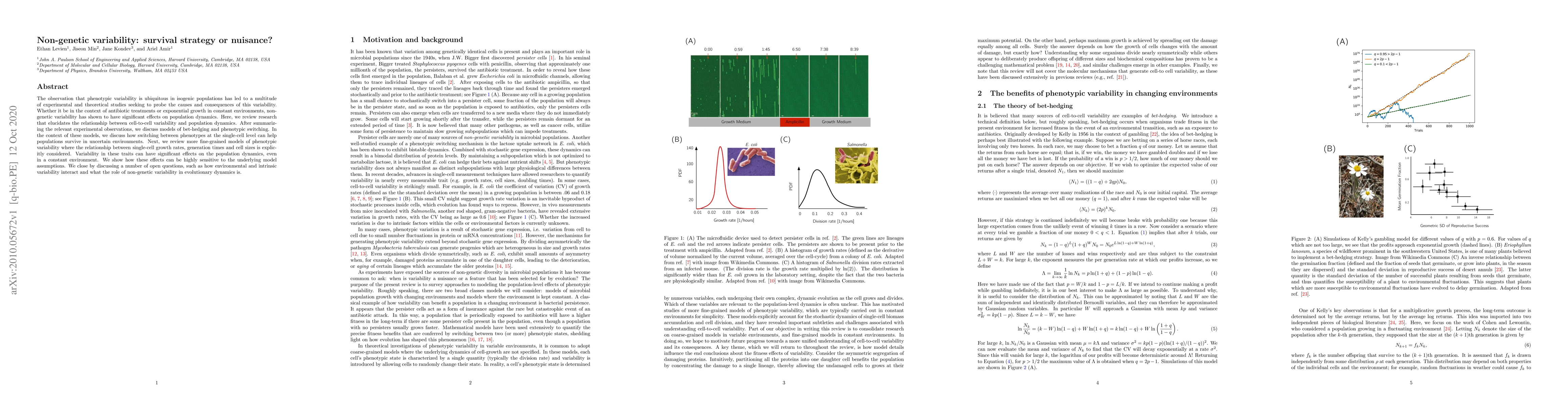 Thumbnail for Non-genetic variability: survival strategy or nuisance?