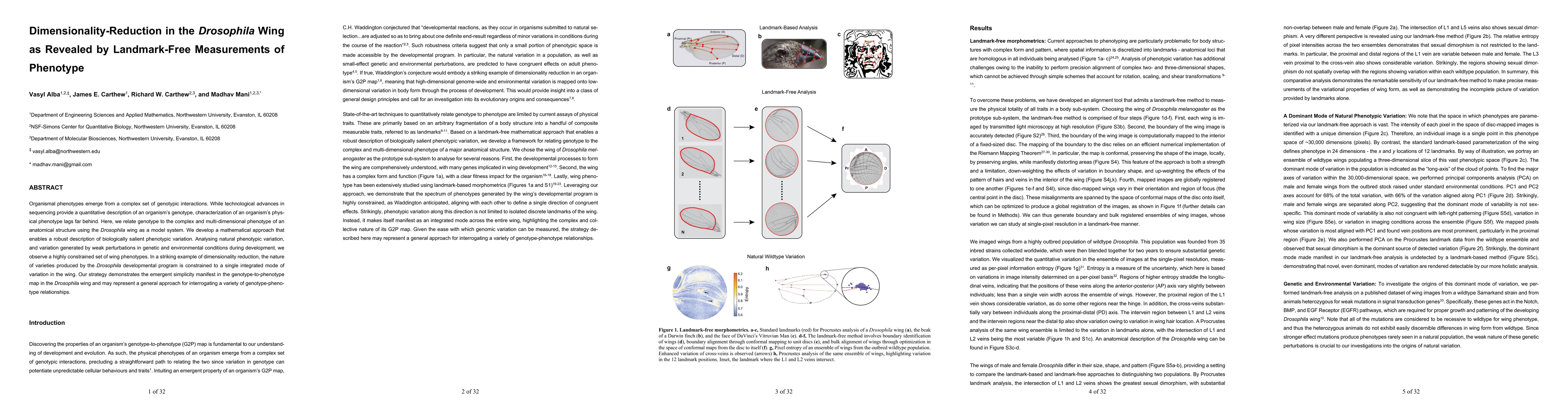 Thumbnail for Dimensionality-Reduction in the Drosophila Wing as Revealed by
  Landmark-Free Measure-ments of Phenotype