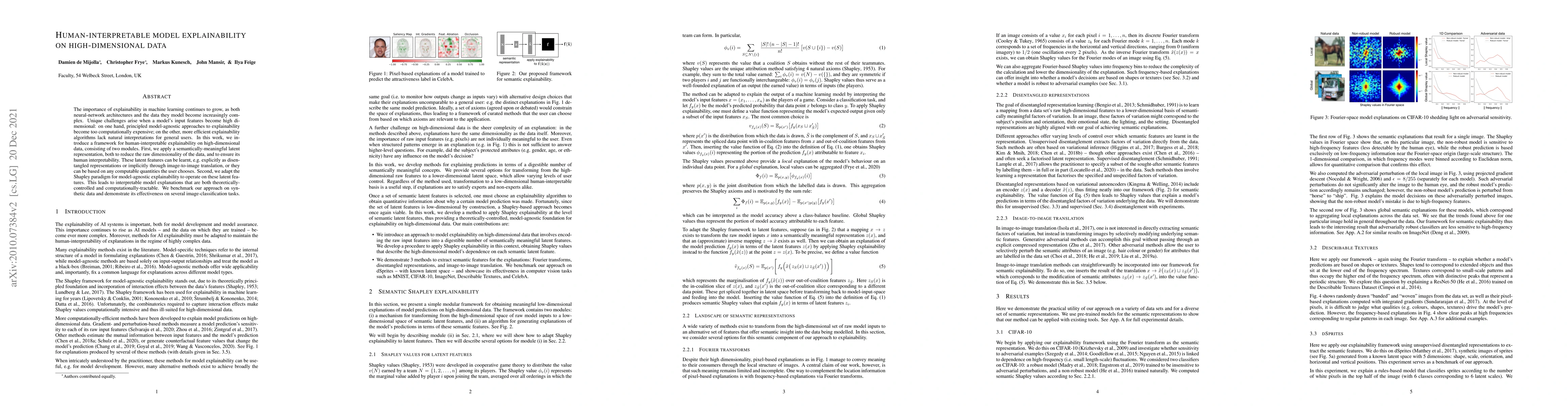 Thumbnail for Human-interpretable model explainability on high-dimensional data