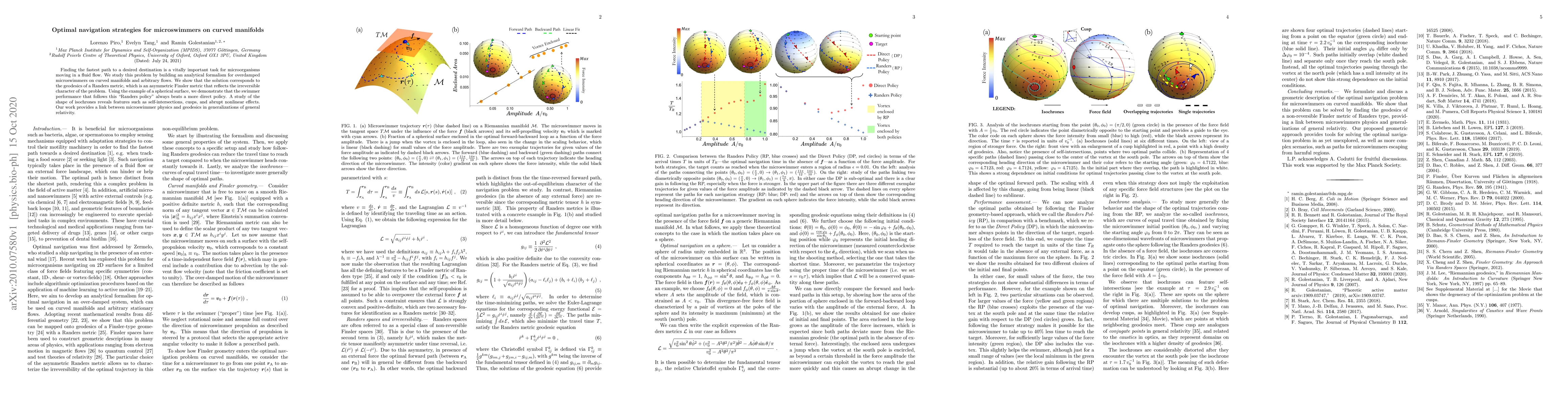 Thumbnail for Optimal navigation strategies for microswimmers on curved manifolds
