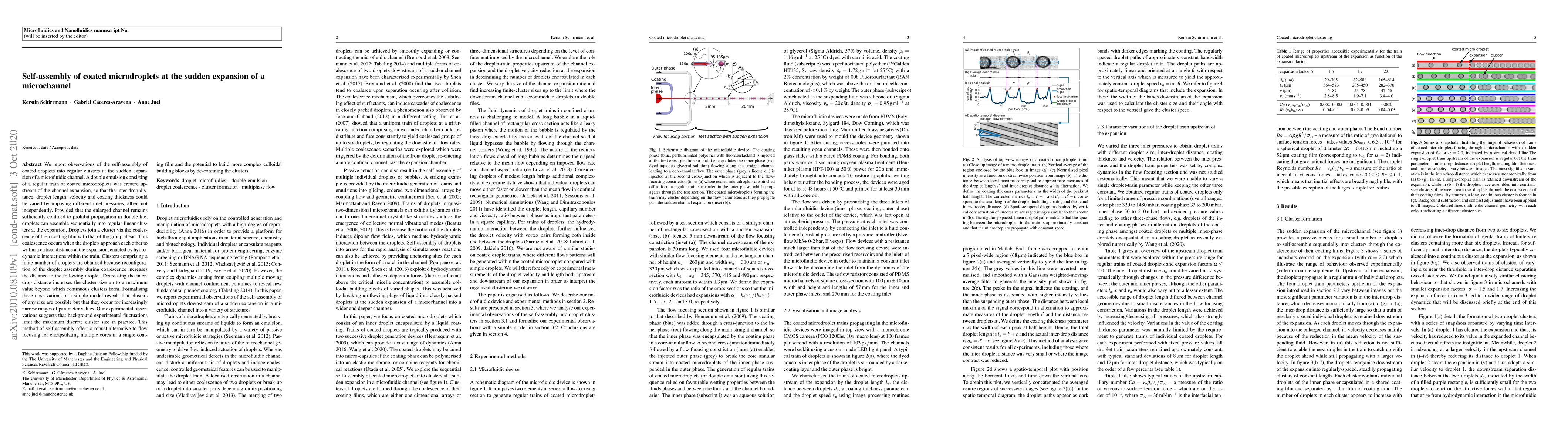 Thumbnail for Self-assembly of coated microdroplets at the sudden expansion of a
  microchannel