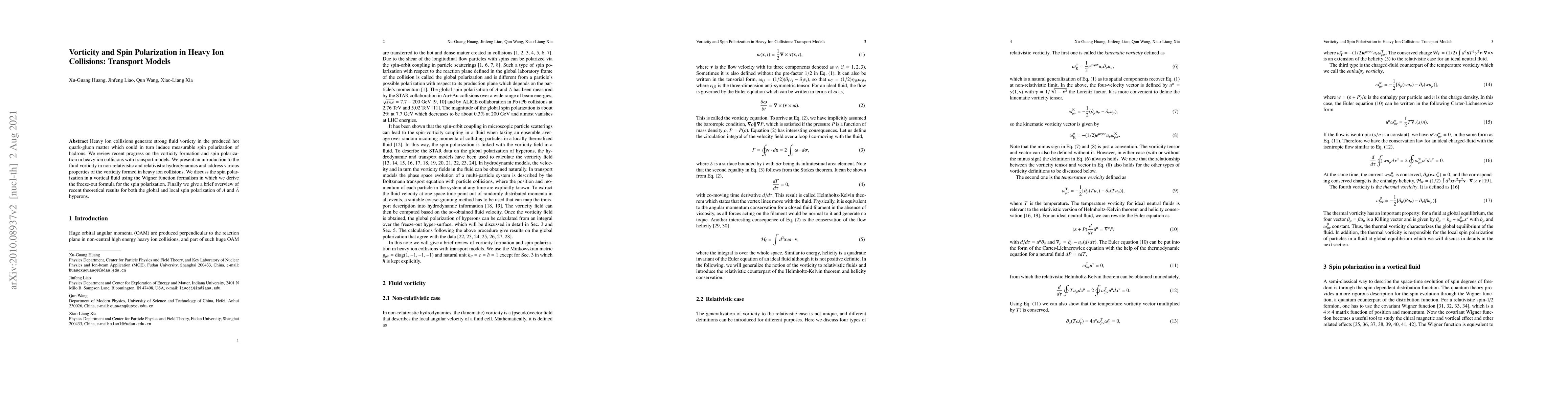Thumbnail for Vorticity and Spin Polarization in Heavy Ion Collisions: Transport
  Models