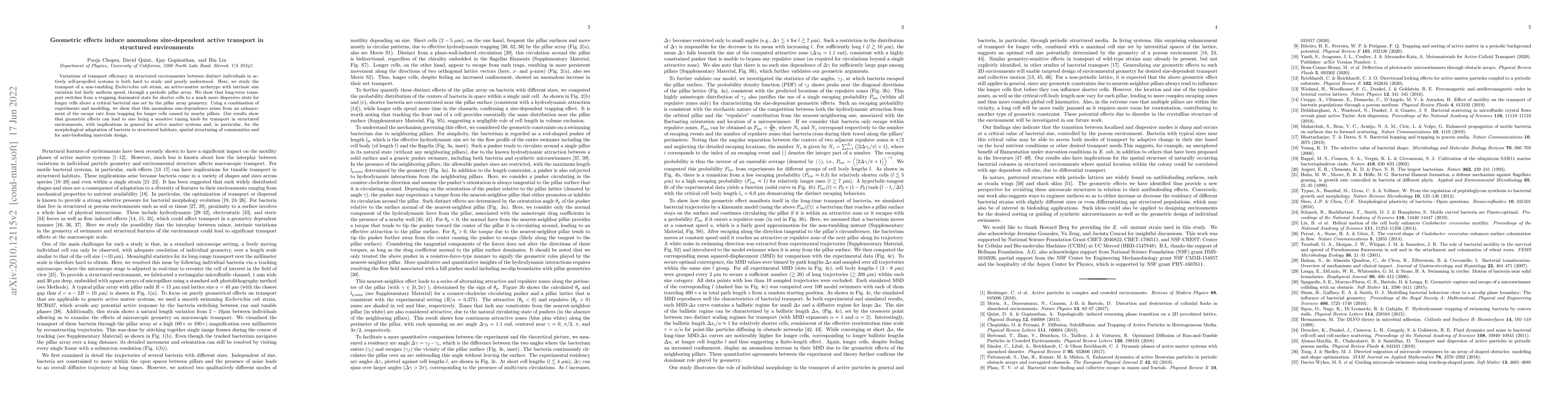 Thumbnail for Geometric effects induce anomalous size-dependent active transport in
  structured environments