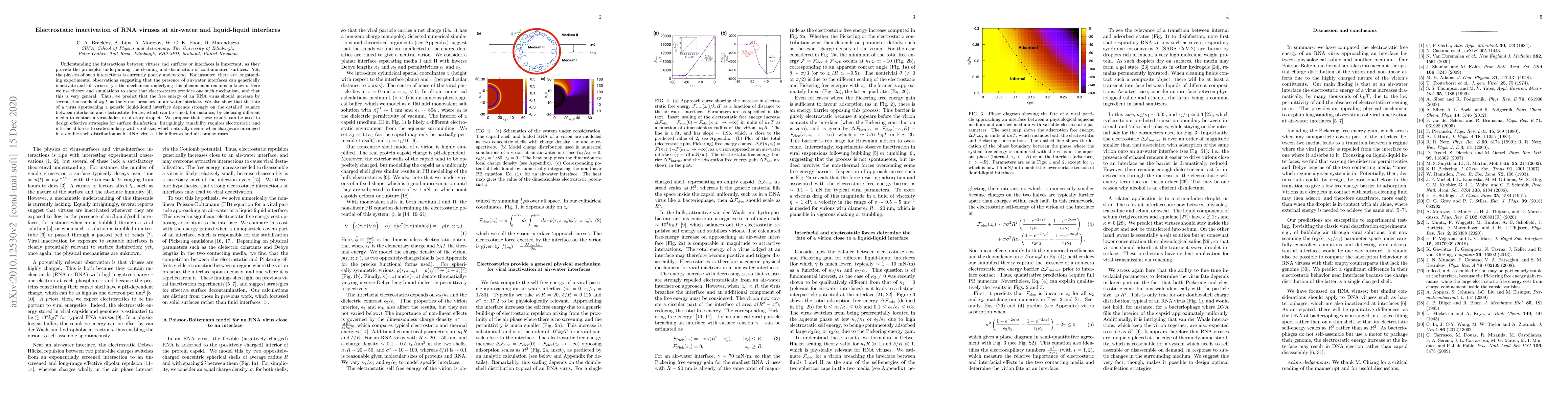 Thumbnail for Electrostatic inactivation of RNA viruses at air-water and liquid-liquid
  interfaces
