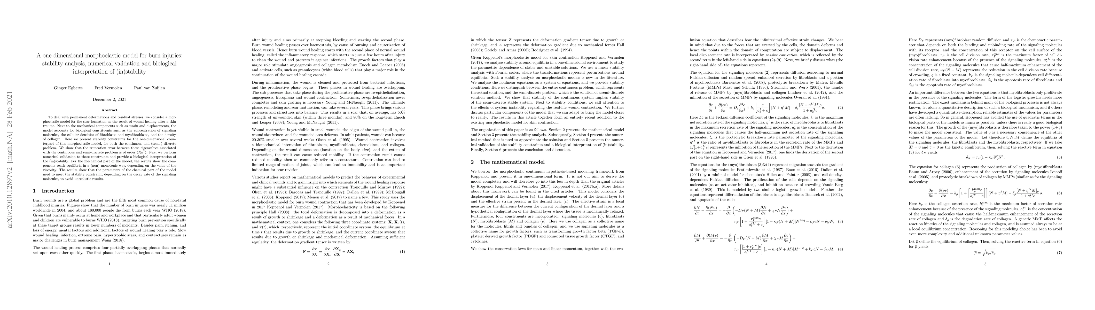 Thumbnail for A one-dimensional morphoelastic model for burn injuries: stability
  analysis, numerical validation and biological interpretation