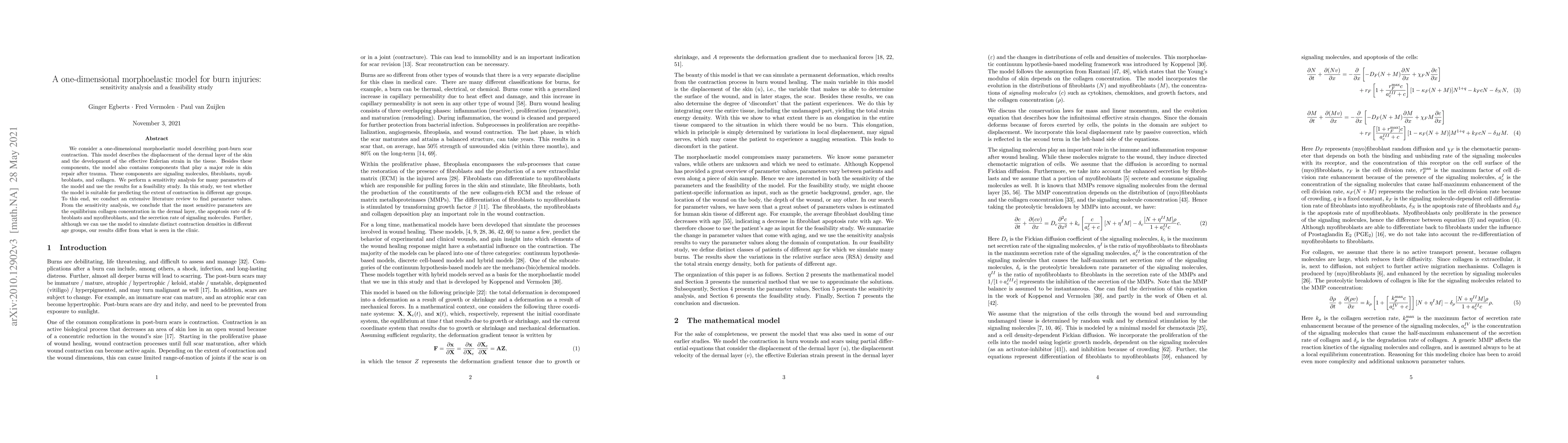 Thumbnail for A one-dimensional morphoelastic model for burn injuries: sensitivity
  analysis and a feasibility study