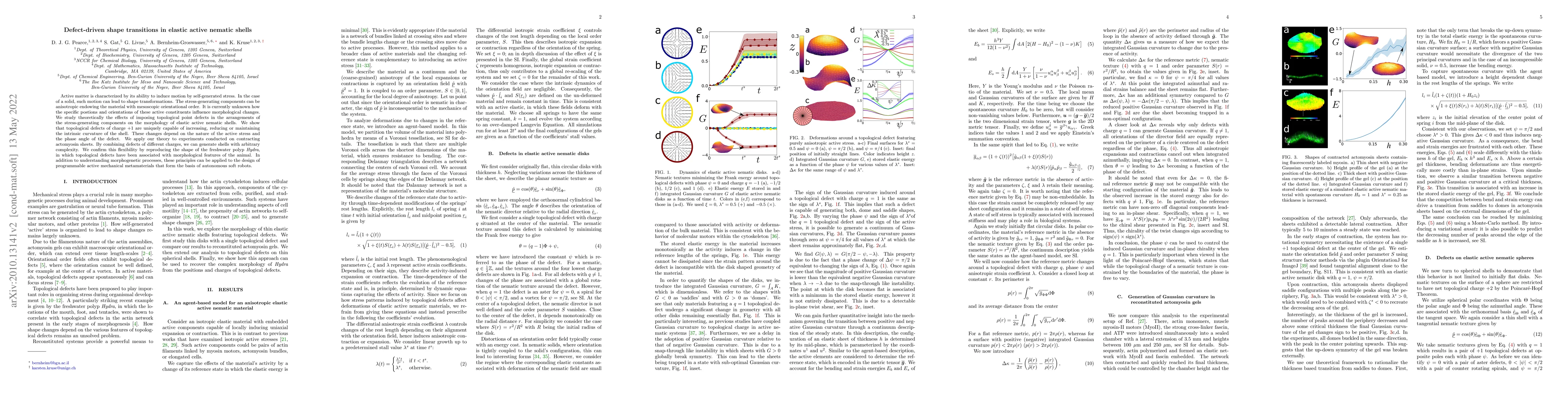 Thumbnail for Defect-driven shape transitions in elastic active nematic shells