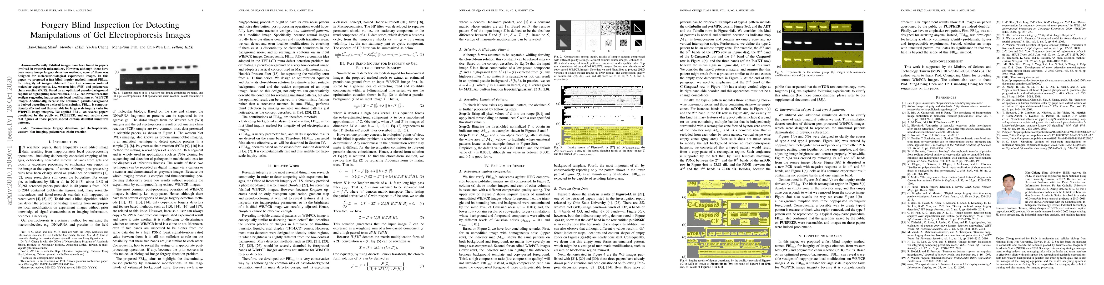 Thumbnail for Forgery Blind Inspection for Detecting Manipulations of Gel
  Electrophoresis Images