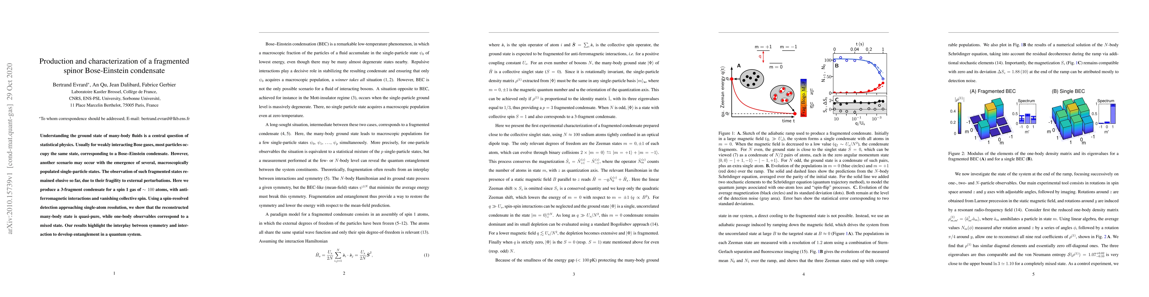 Thumbnail for Production and characterization of a fragmented spinor Bose-Einstein
  condensate