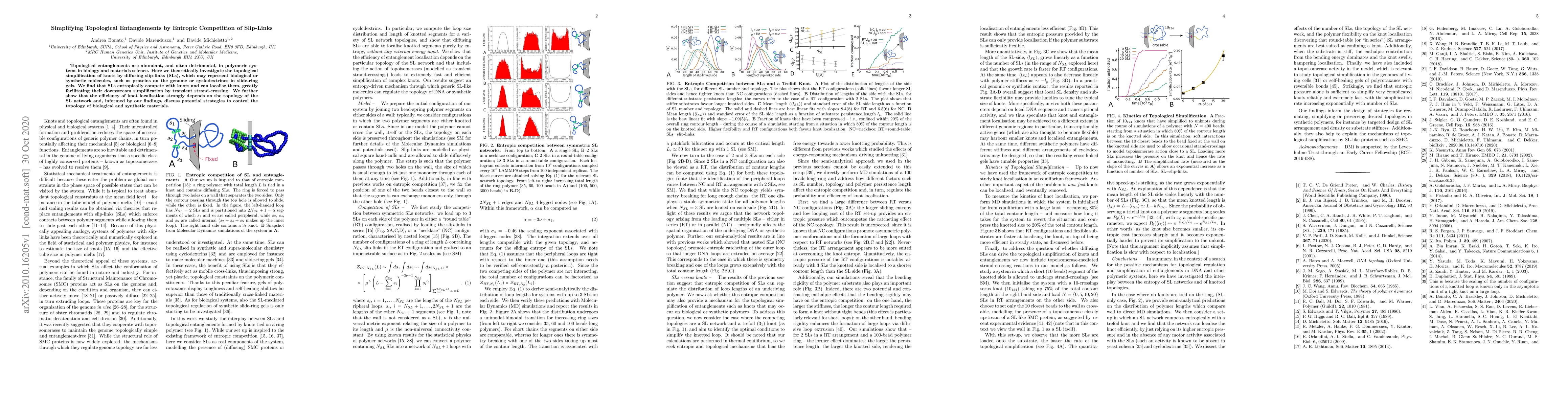 Thumbnail for Simplifying Topological Entanglements by Entropic Competition of
  Slip-Links