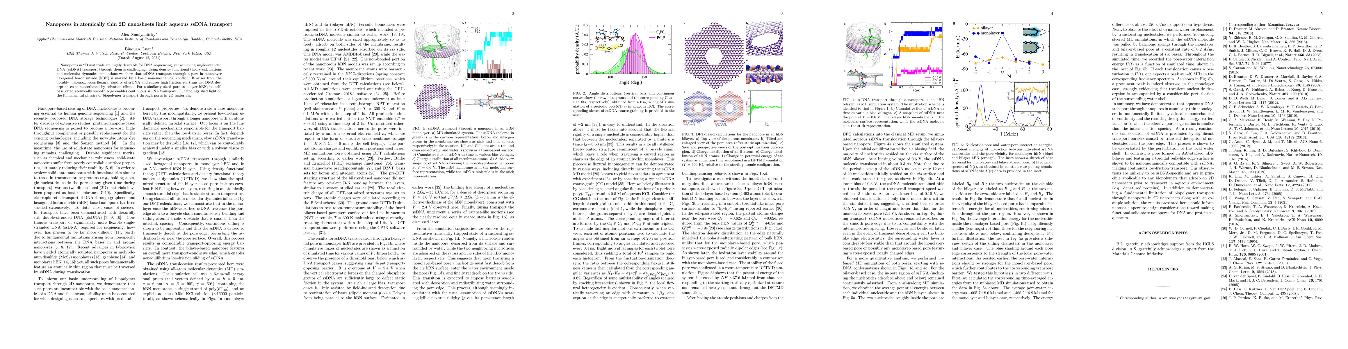 Thumbnail for Nanopores in atomically thin 2D nanosheets limit aqueous ssDNA transport