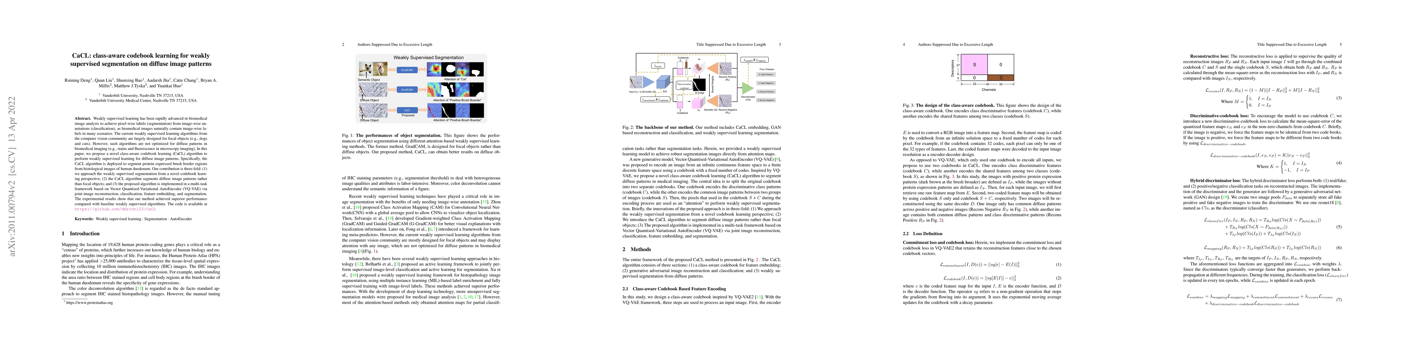 Thumbnail for CaCL: Class-aware Codebook Learning for Weakly Supervised Segmentation
  on Diffuse Image Patterns