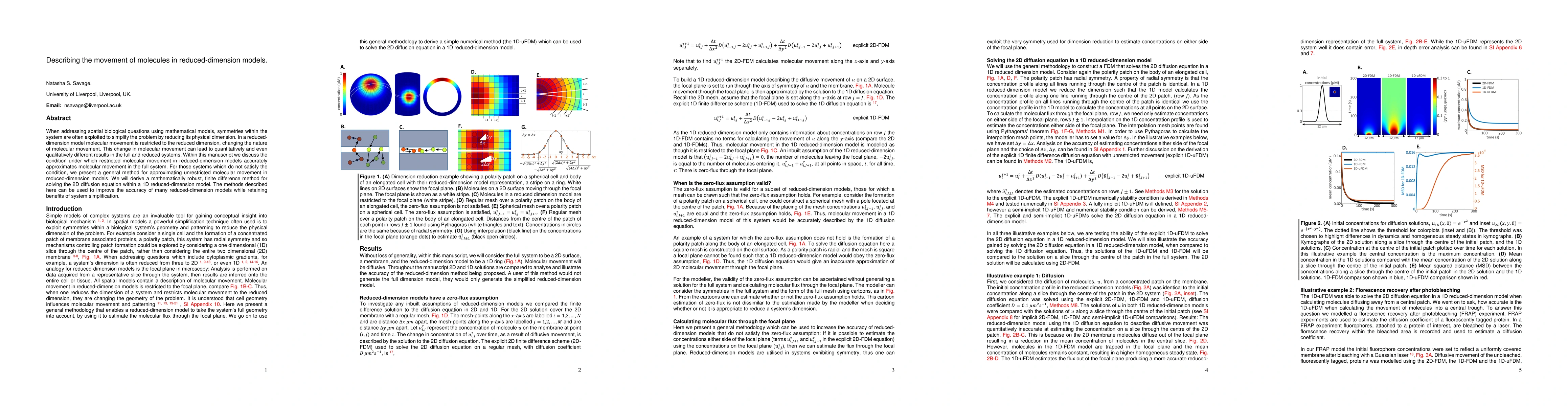 Thumbnail for Describing the movement of molecules in reduced-dimension models