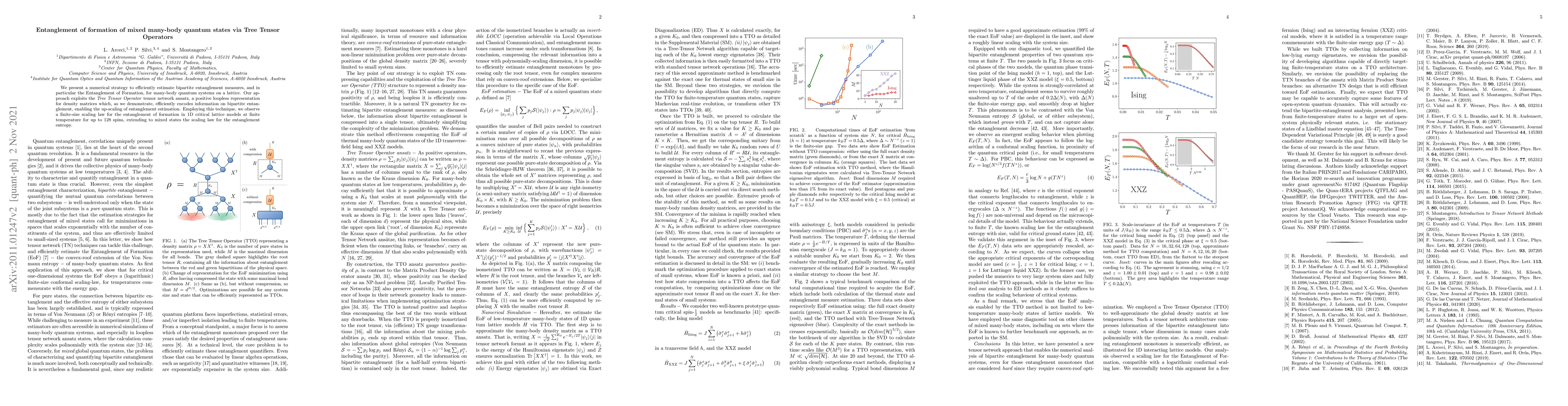 Thumbnail for Entanglement of formation of mixed many-body quantum states via Tree
  Tensor Operators