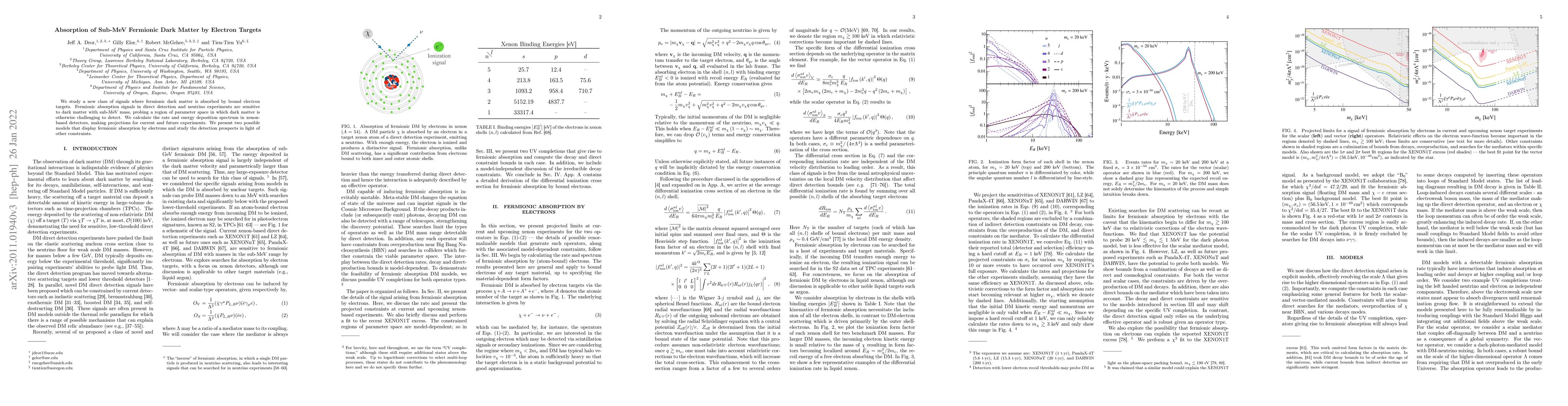 Thumbnail for Absorption of Sub-MeV Fermionic Dark Matter by Electron Targets