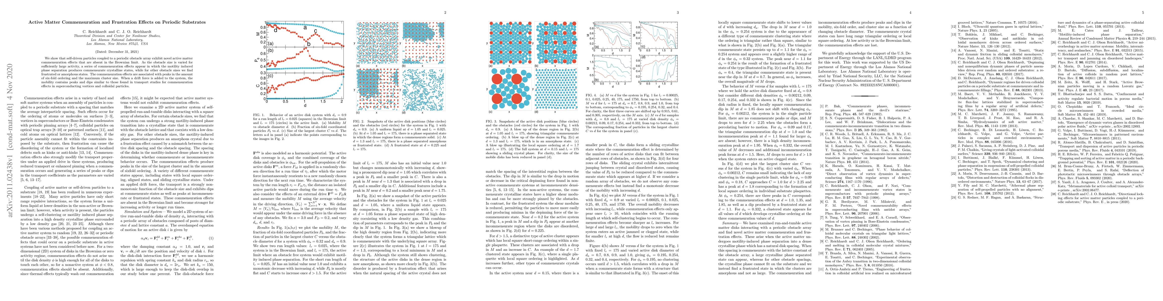 Thumbnail for Active Matter Commensuration and Frustration Effects on Periodic
  Substrates