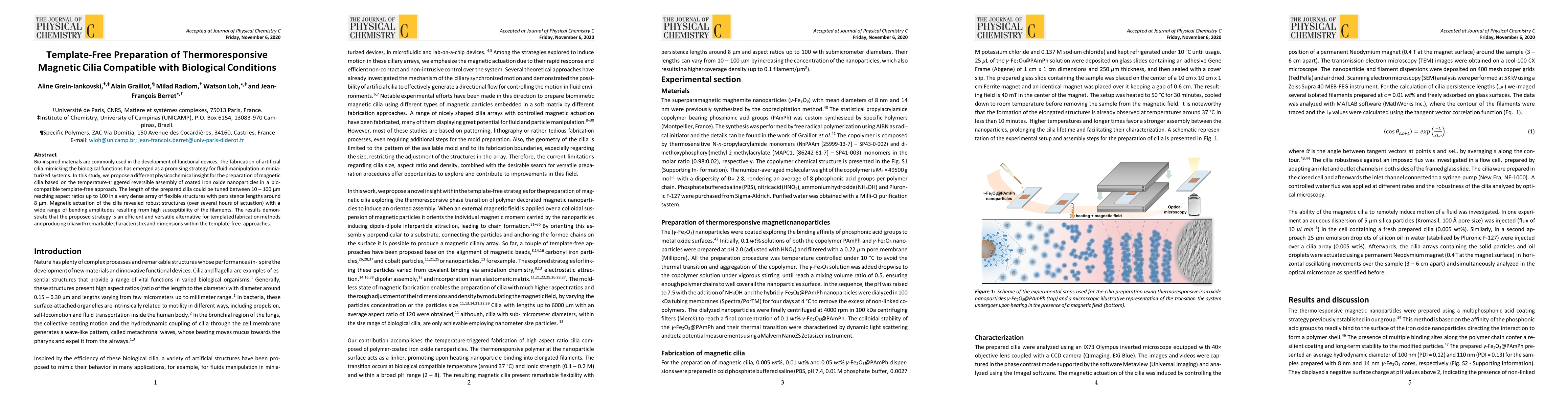 Thumbnail for Template-Free Preparation of Thermoresponsive Mag-netic Cilia Compatible
  with Biological Conditions