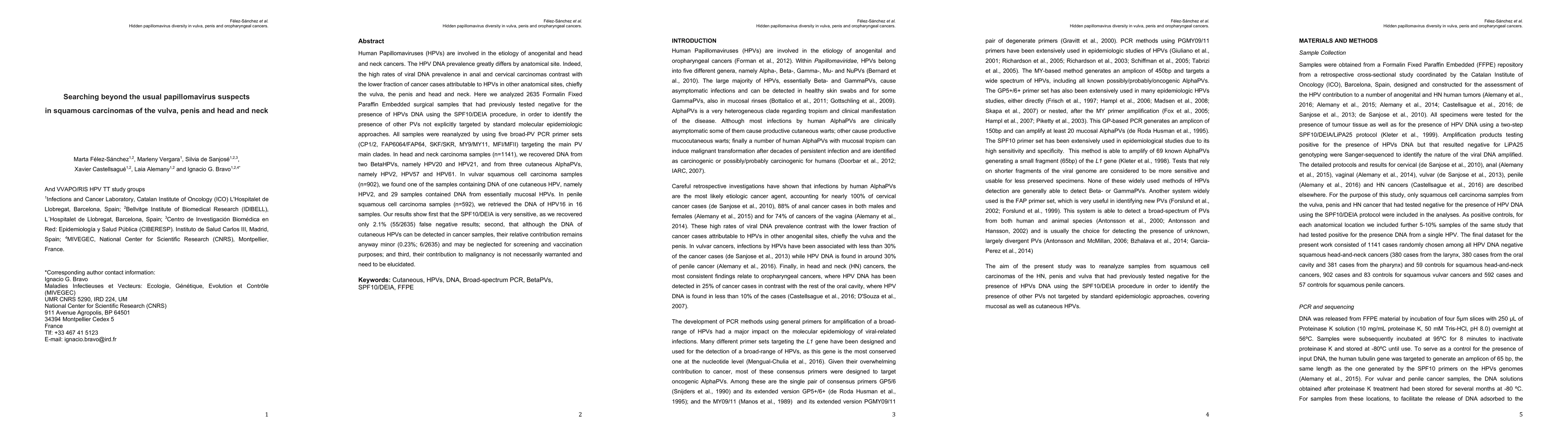 Thumbnail for Searching beyond the usual papillomavirus suspects in squamous
  carcinomas of the vulva, penis and head and neck