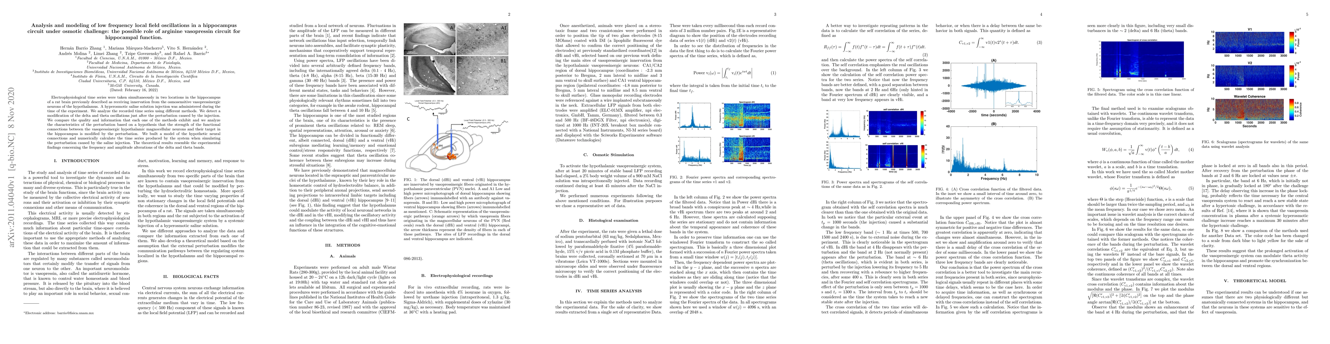 Thumbnail for Analysis and modeling of low frequency local field oscillations in a
  hippocampus circuit under osmotic challenge: the possible role of arginine
  vasopressin circuit for hippocampal function