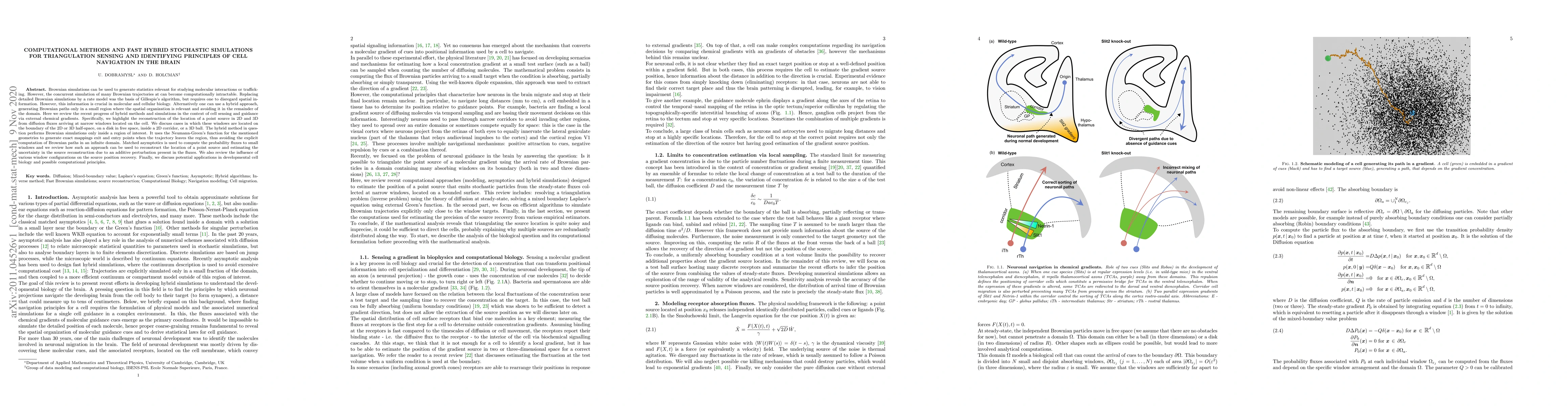 Thumbnail for Computational methods and fast hybrid stochastic simulations for
  triangulation sensing and identifying principles of cell navigation in the
  brain