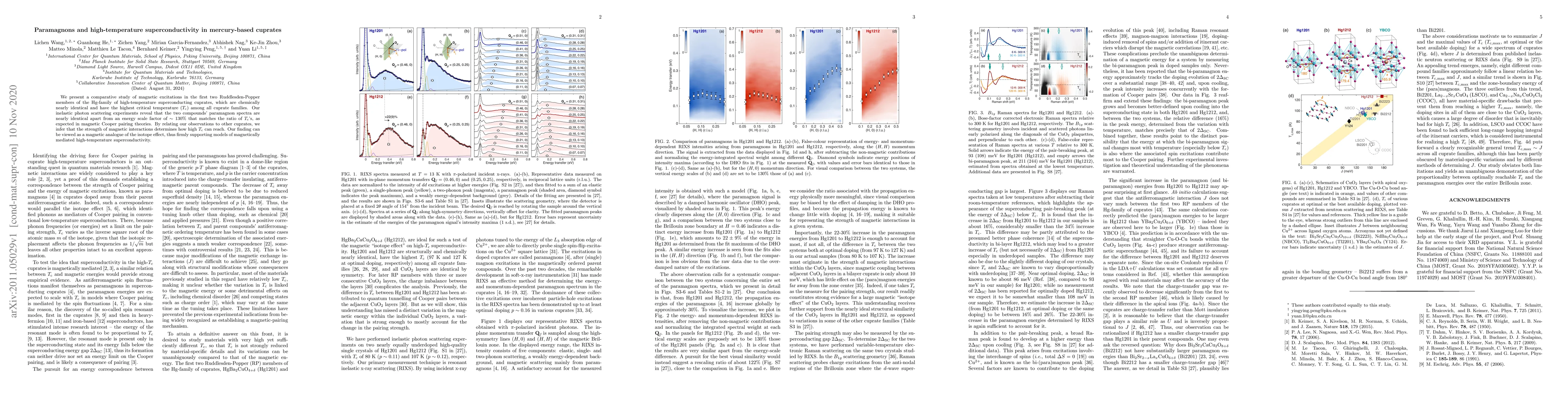 Thumbnail for Paramagnons and high-temperature superconductivity in mercury-based
  cuprates