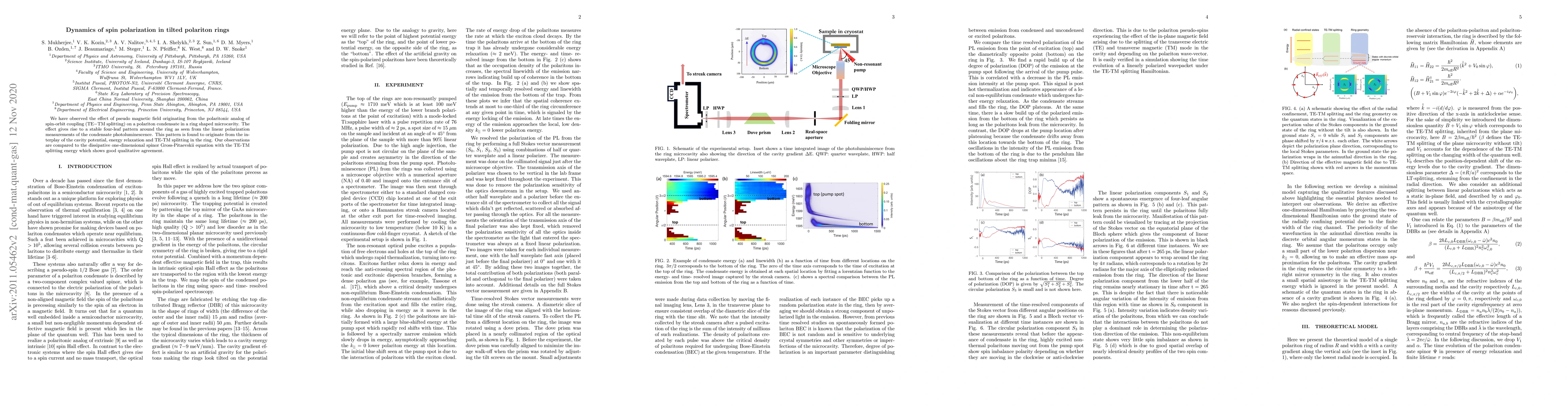 Thumbnail for Dynamics of spin polarization in tilted polariton rings