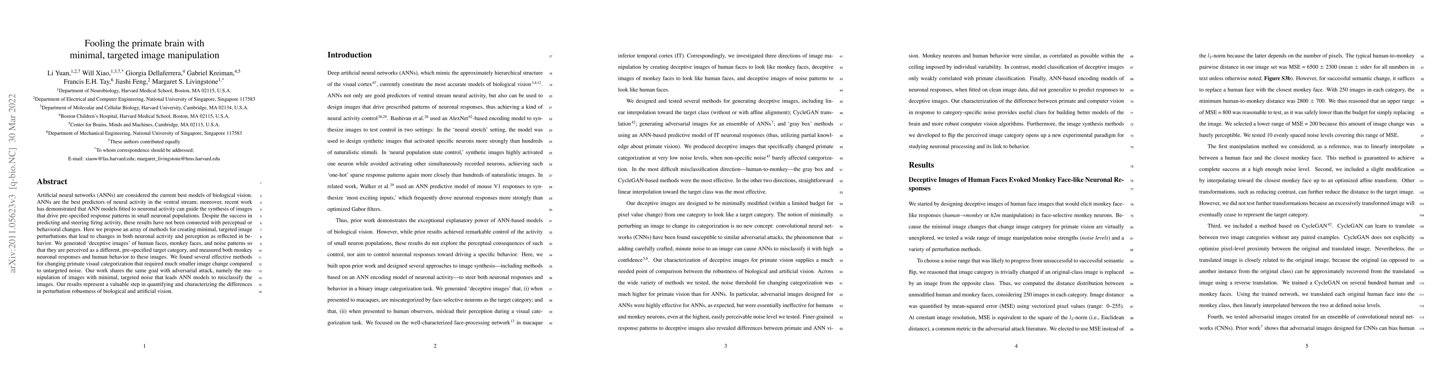 Thumbnail for Fooling the primate brain with minimal, targeted image manipulation