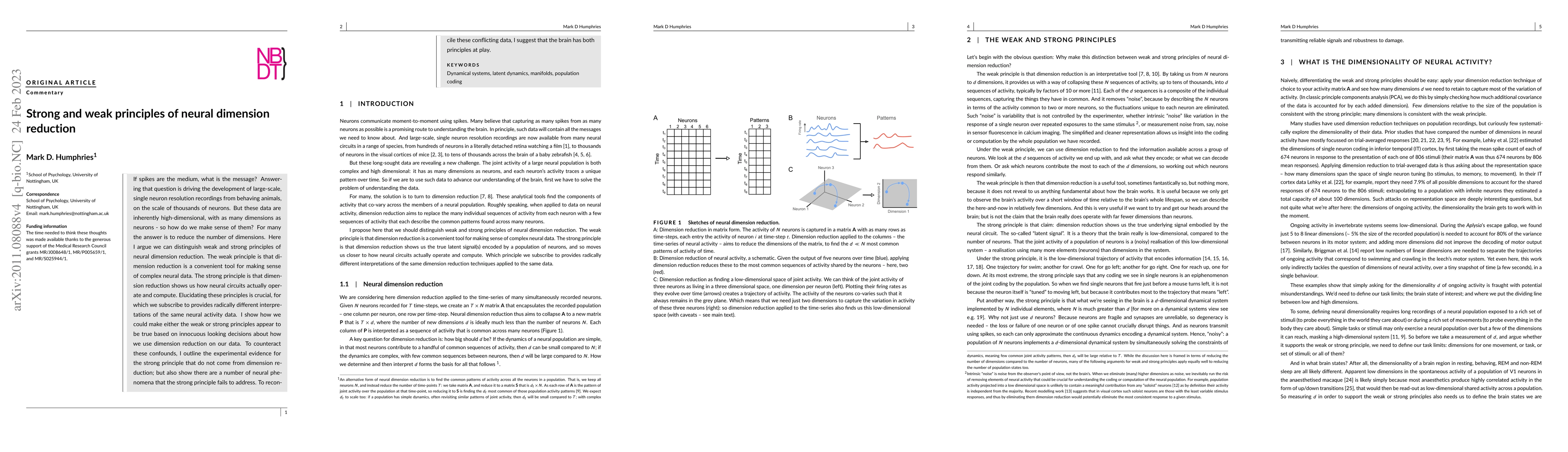 Thumbnail for Strong and weak principles of neural dimension reduction