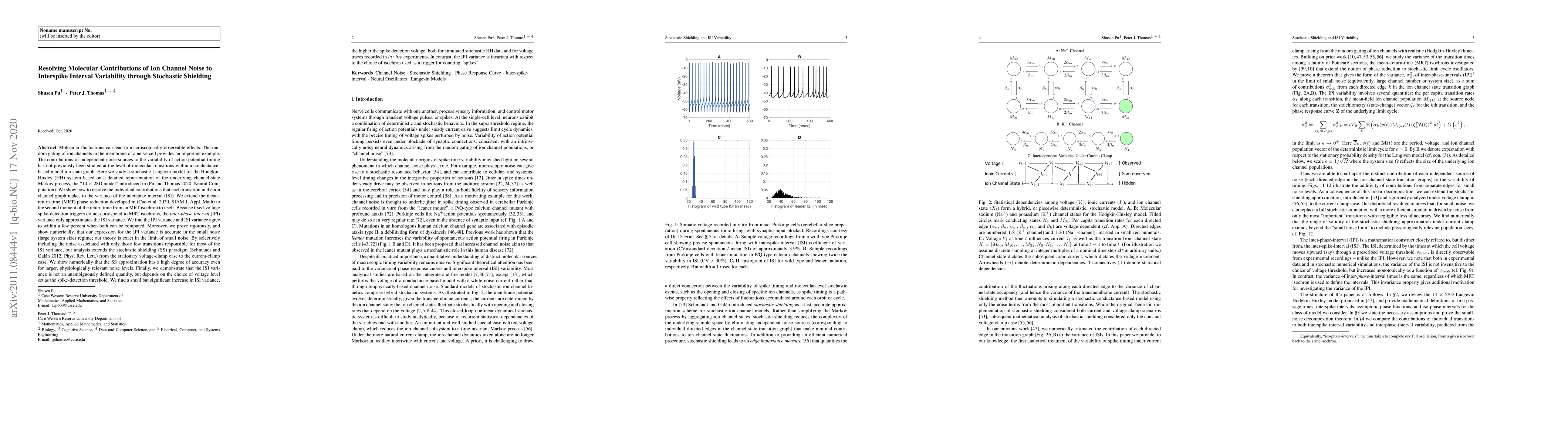 Thumbnail for Resolving Molecular Contributions of Ion Channel Noise to Interspike
  Interval Variability through Stochastic Shielding