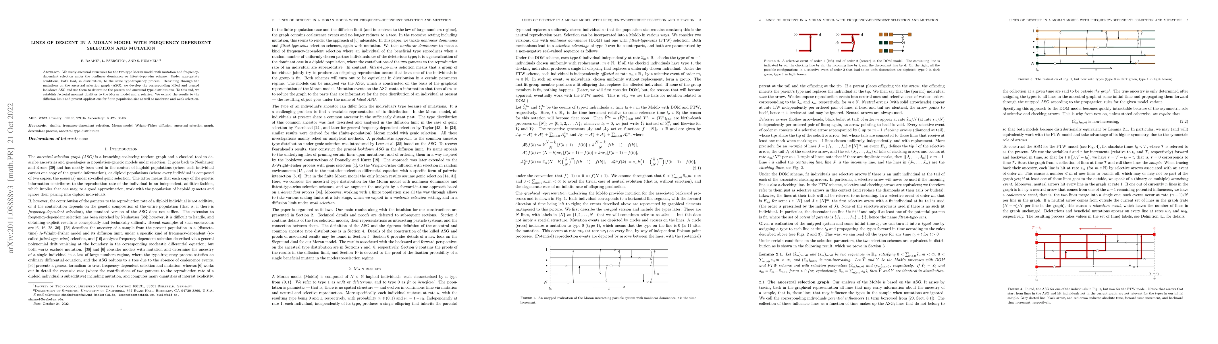Thumbnail for Lines of descent in a Moran model with frequency-dependent selection and
  mutation