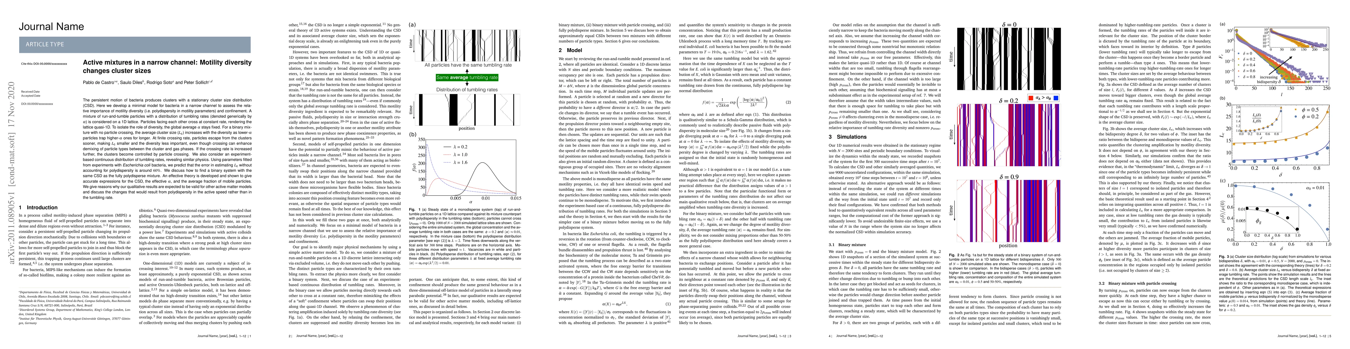 Thumbnail for Active mixtures in a narrow channel: Motility diversity changes cluster
  sizes