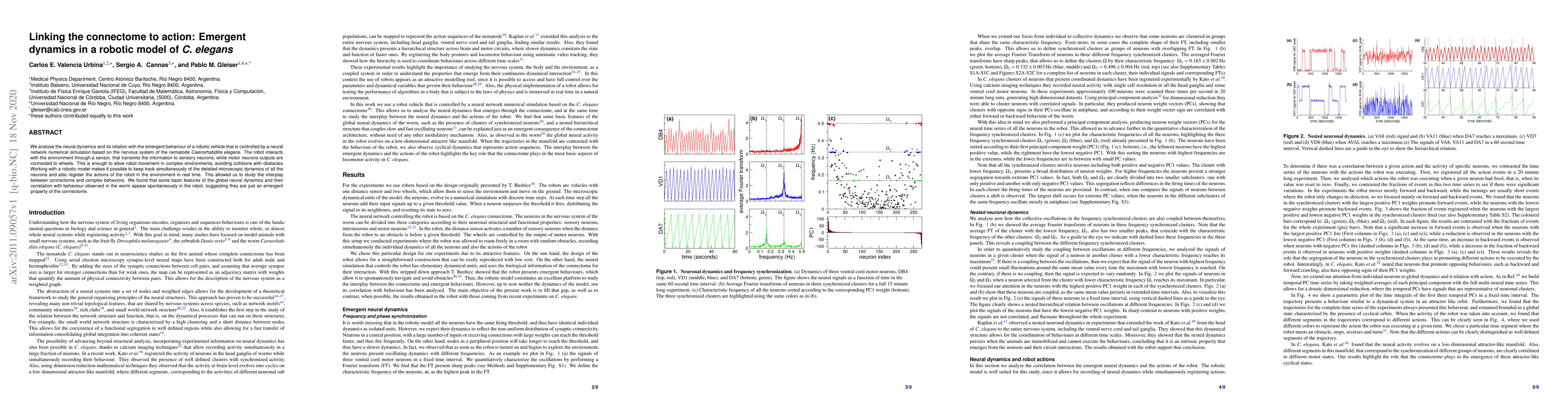 Thumbnail for Linking the connectome to action: Emergent dynamics in a robotic model
  of C. elegans