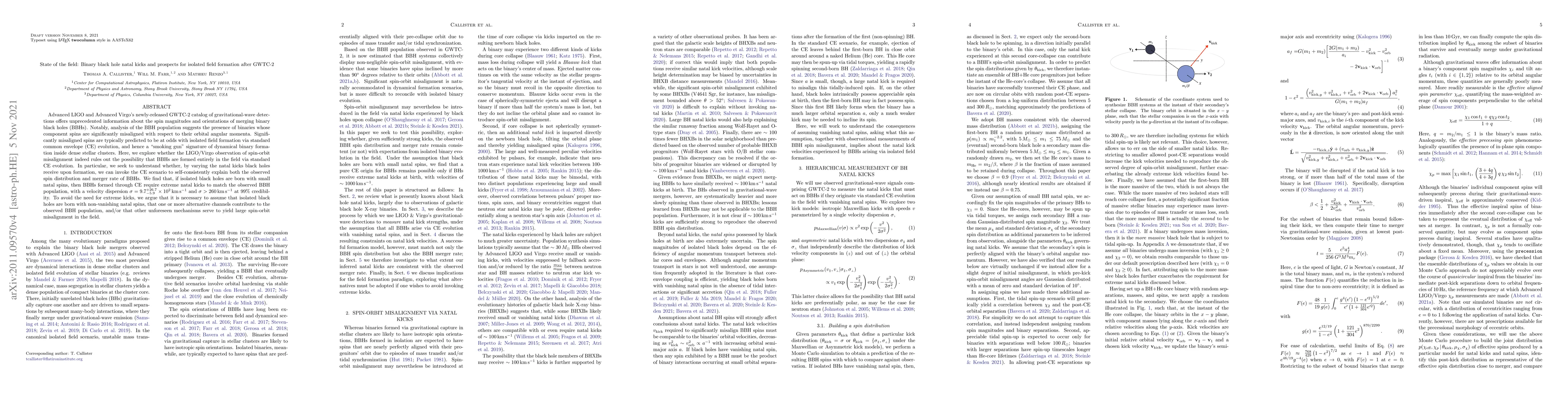 Thumbnail for State of the field: Binary black hole natal kicks and prospects for
  isolated field formation after GWTC-2