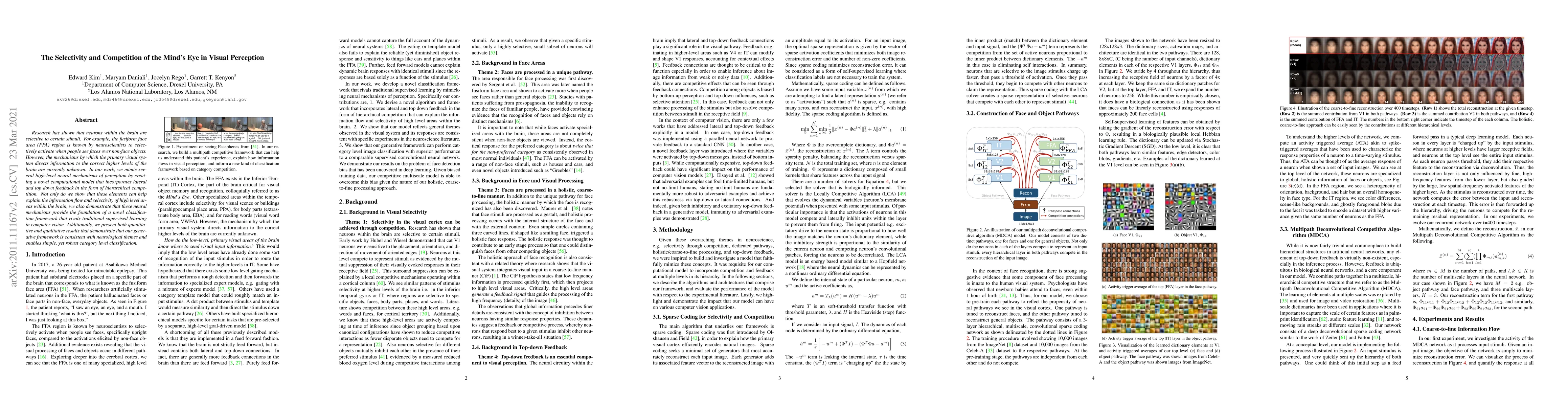 Thumbnail for The Selectivity and Competition of the Mind's Eye in Visual Perception
