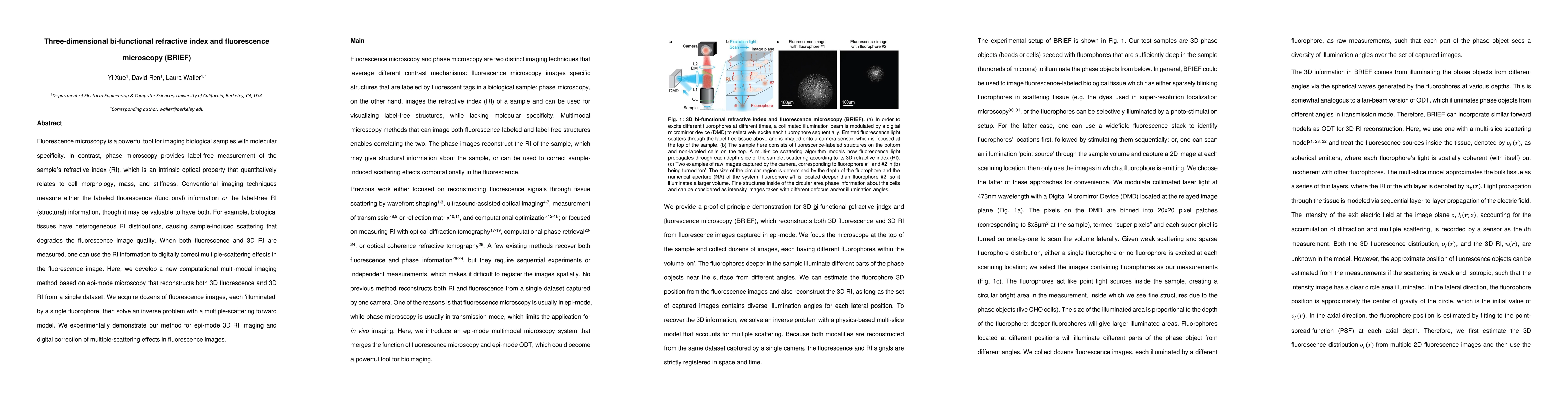 Thumbnail for Three-dimensional bi-functional refractive index and fluorescence
  microscopy (BRIEF)