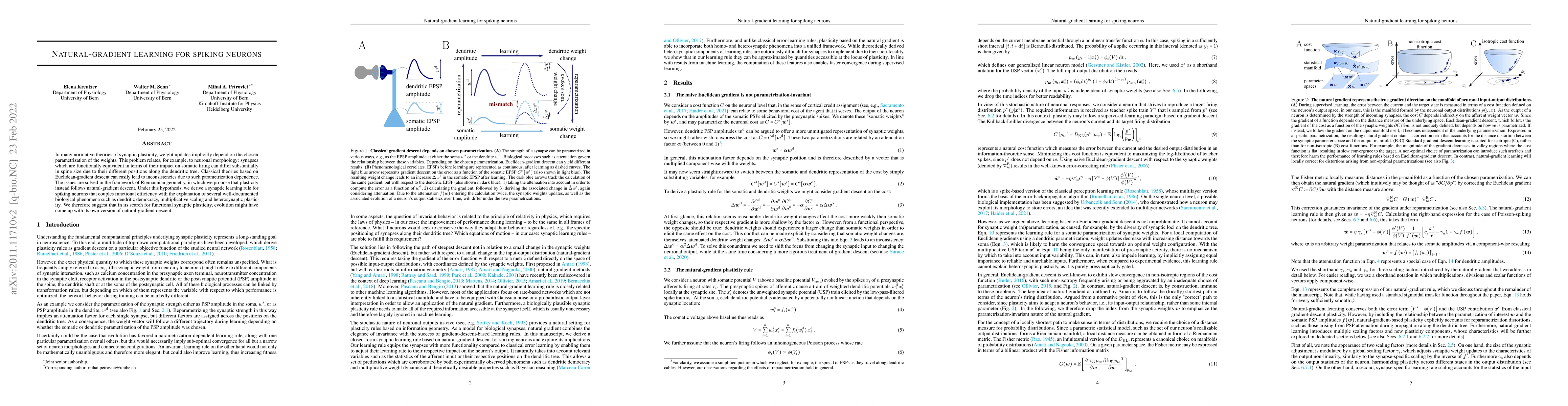 Thumbnail for Natural-gradient learning for spiking neurons