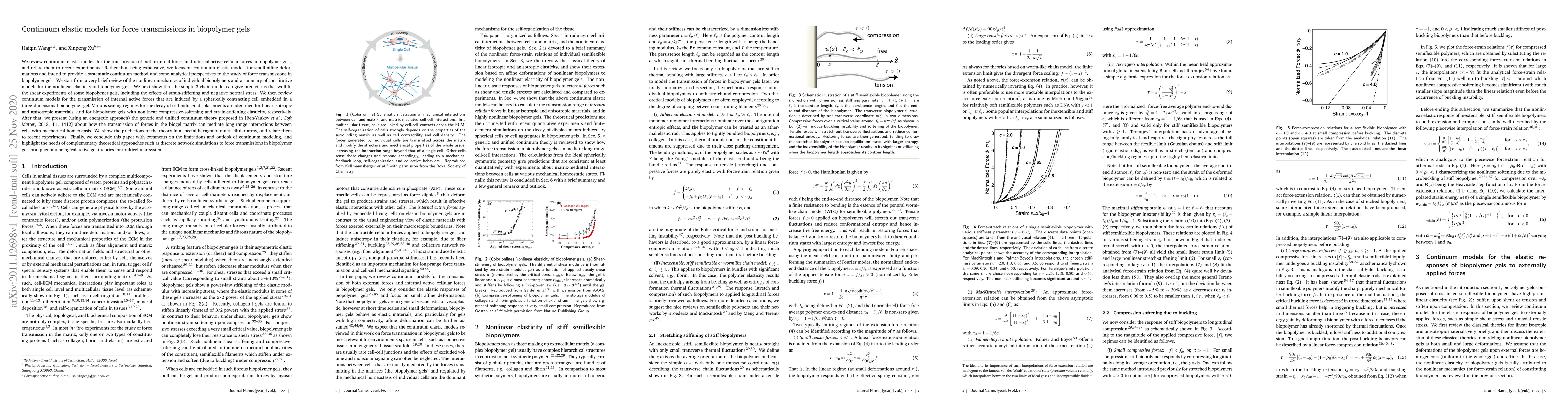 Thumbnail for Continuum elastic models for force transmissions in biopolymer gels