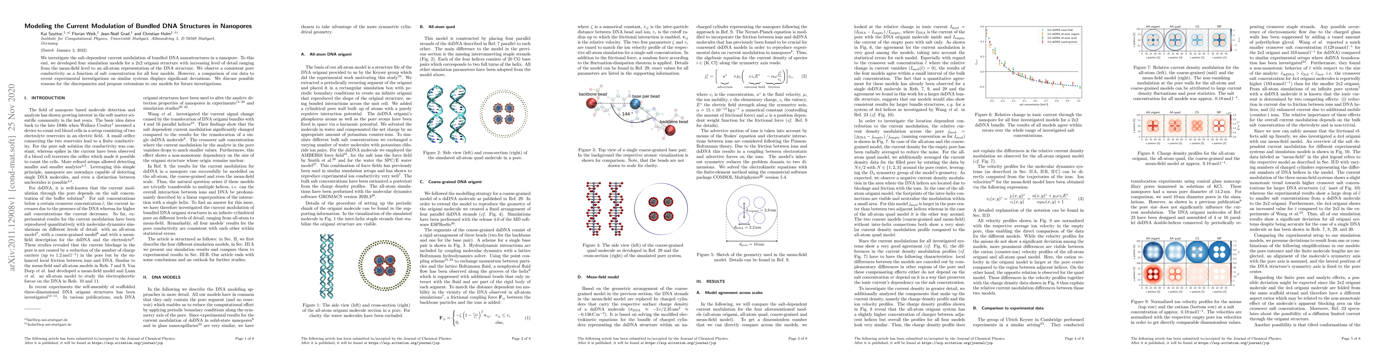Thumbnail for Modeling the Current Modulation of Bundled DNA Structures in Nanopores