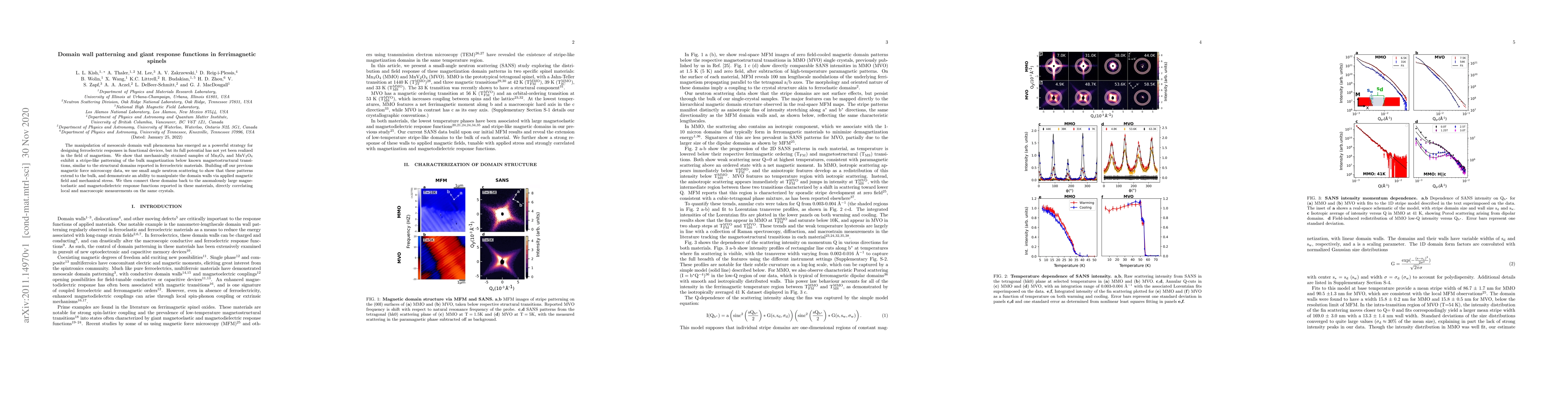 Thumbnail for Domain wall patterning and giant response functions in ferrimagnetic
  spinels