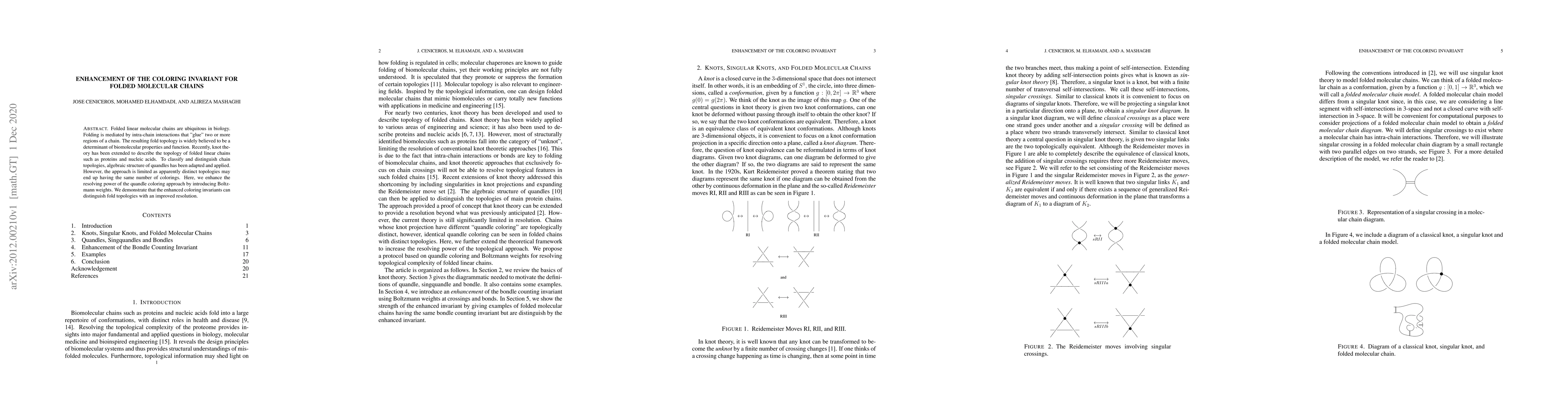 Thumbnail for Enhancement of the Coloring Invariant for Folded Molecular Chains