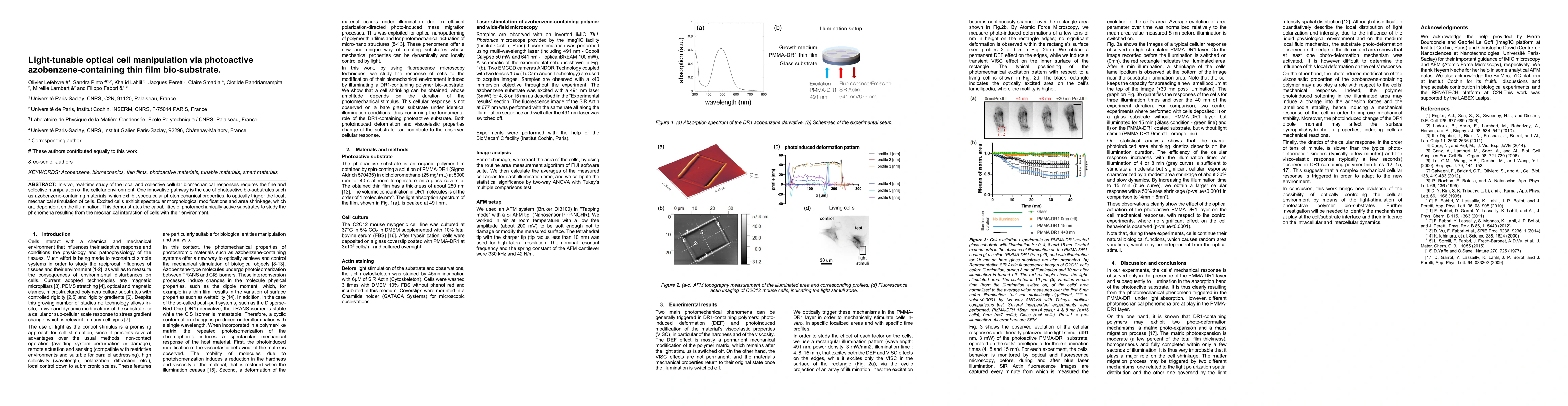 Thumbnail for Light-tunable optical cell manipulation via photoactive
  azobenzene-containing thin film bio-substrate