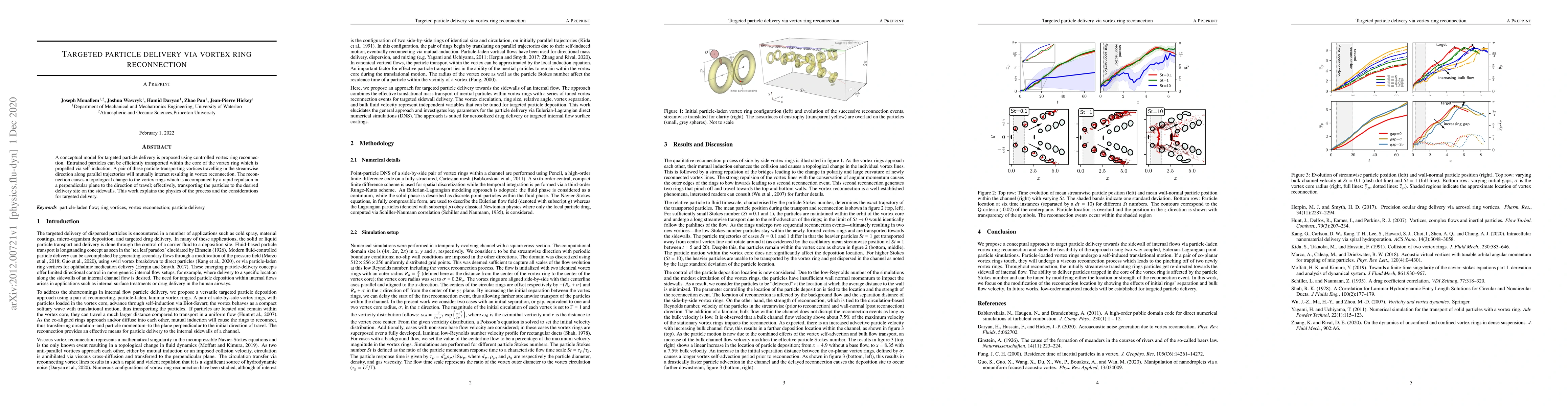 Thumbnail for Targeted particle delivery via vortex ring reconnection
