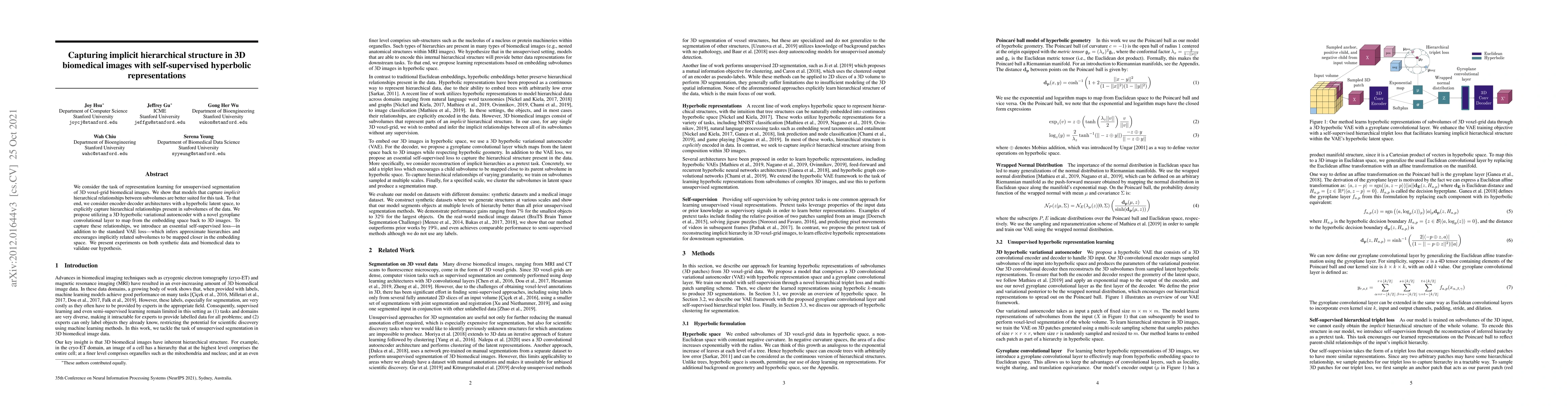 Thumbnail for Capturing implicit hierarchical structure in 3D biomedical images with
  self-supervised hyperbolic representations