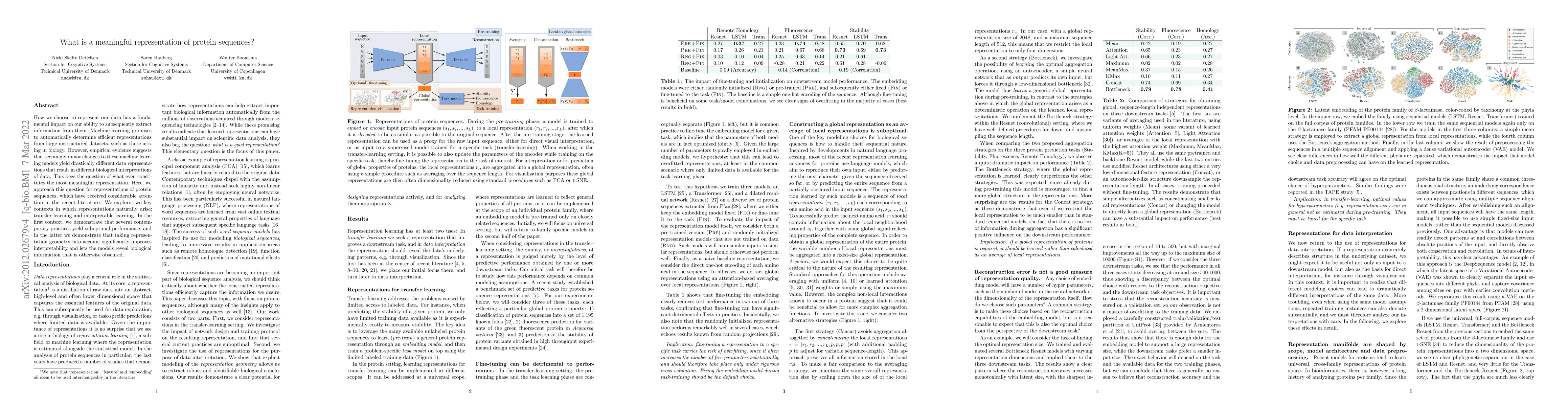 Thumbnail for What is a meaningful representation of protein sequences?