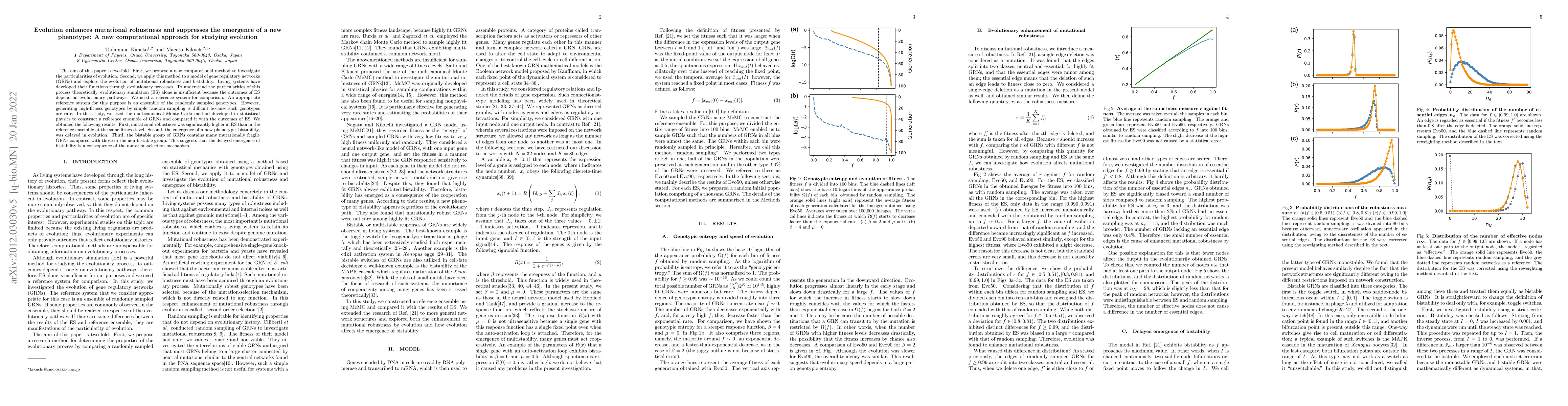 Thumbnail for Evolution enhances mutational robustness and suppresses the emergence of
  a new phenotype: A new computational approach for studying evolution