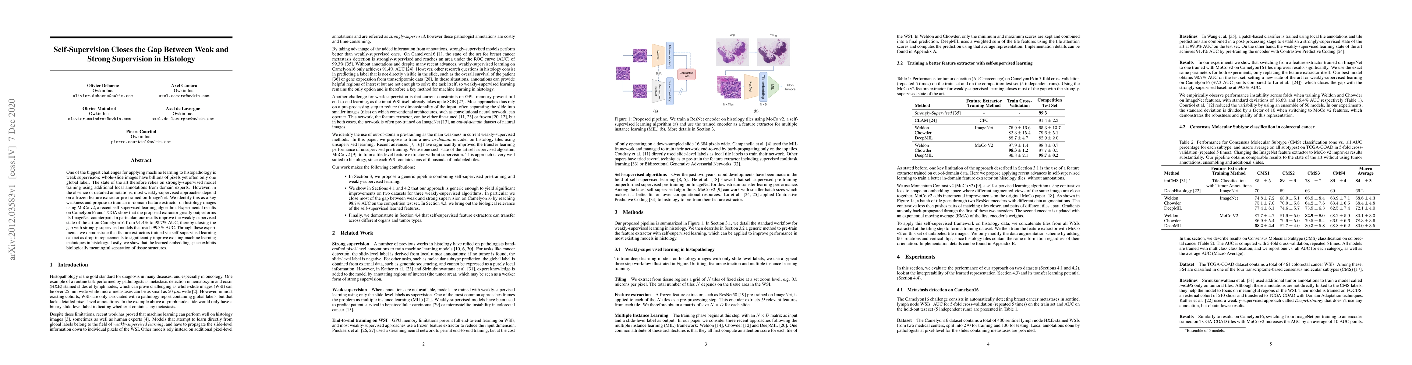 Thumbnail for Self-Supervision Closes the Gap Between Weak and Strong Supervision in
  Histology