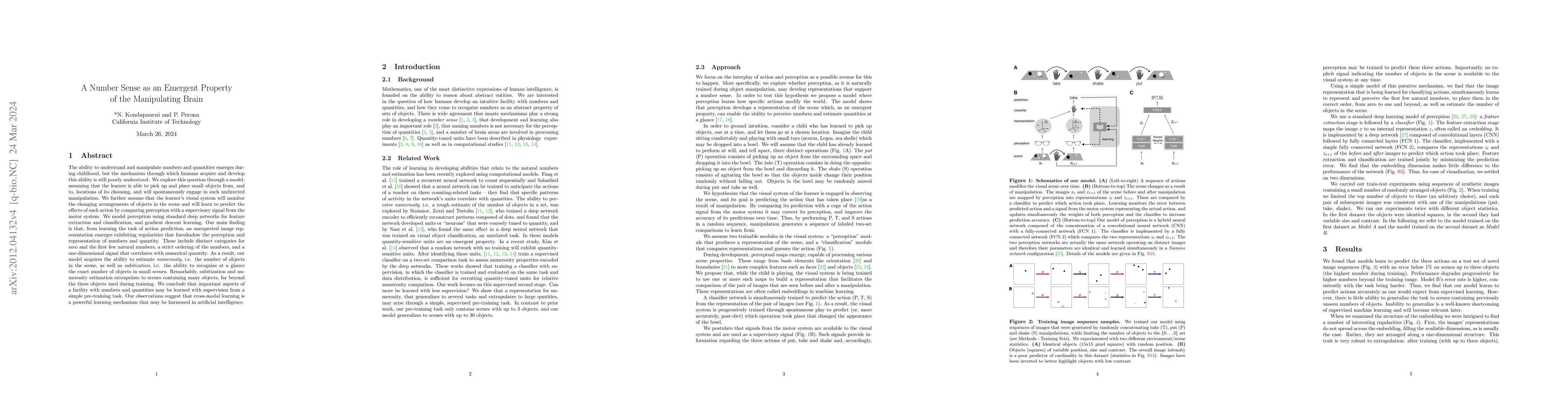 Thumbnail for A Number Sense as an Emergent Property of the Manipulating Brain