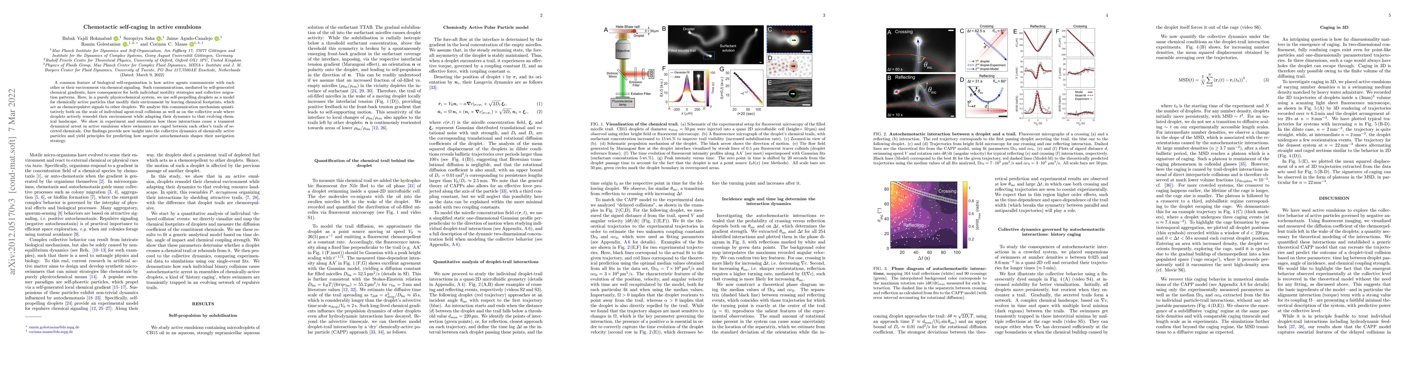 Thumbnail for Chemotactic self-caging in active emulsions